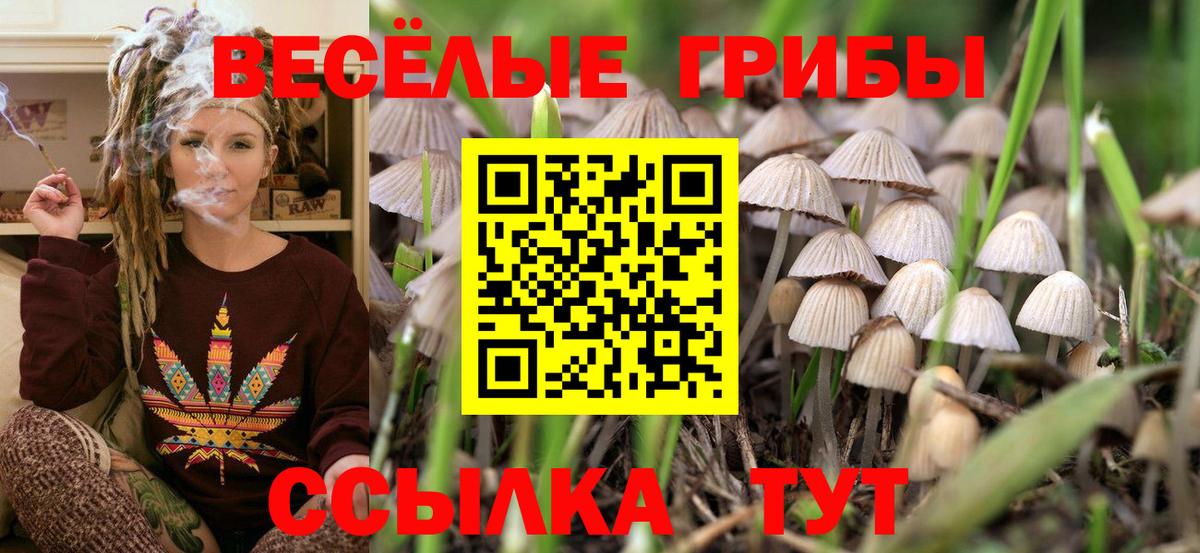 Галлюциногенные грибы Magic Shrooms Узловая
